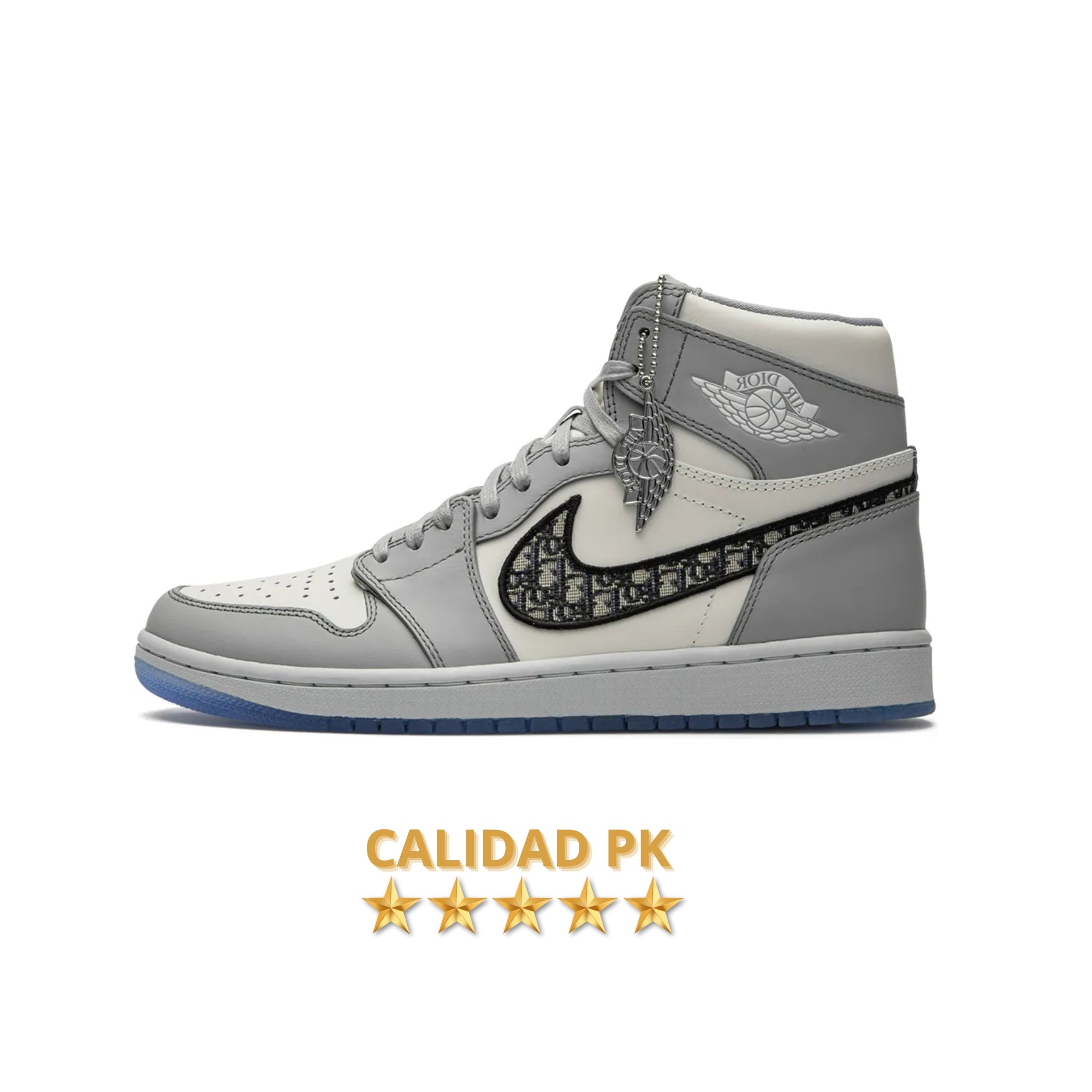 AIR JORDAN RETRO x DIOR