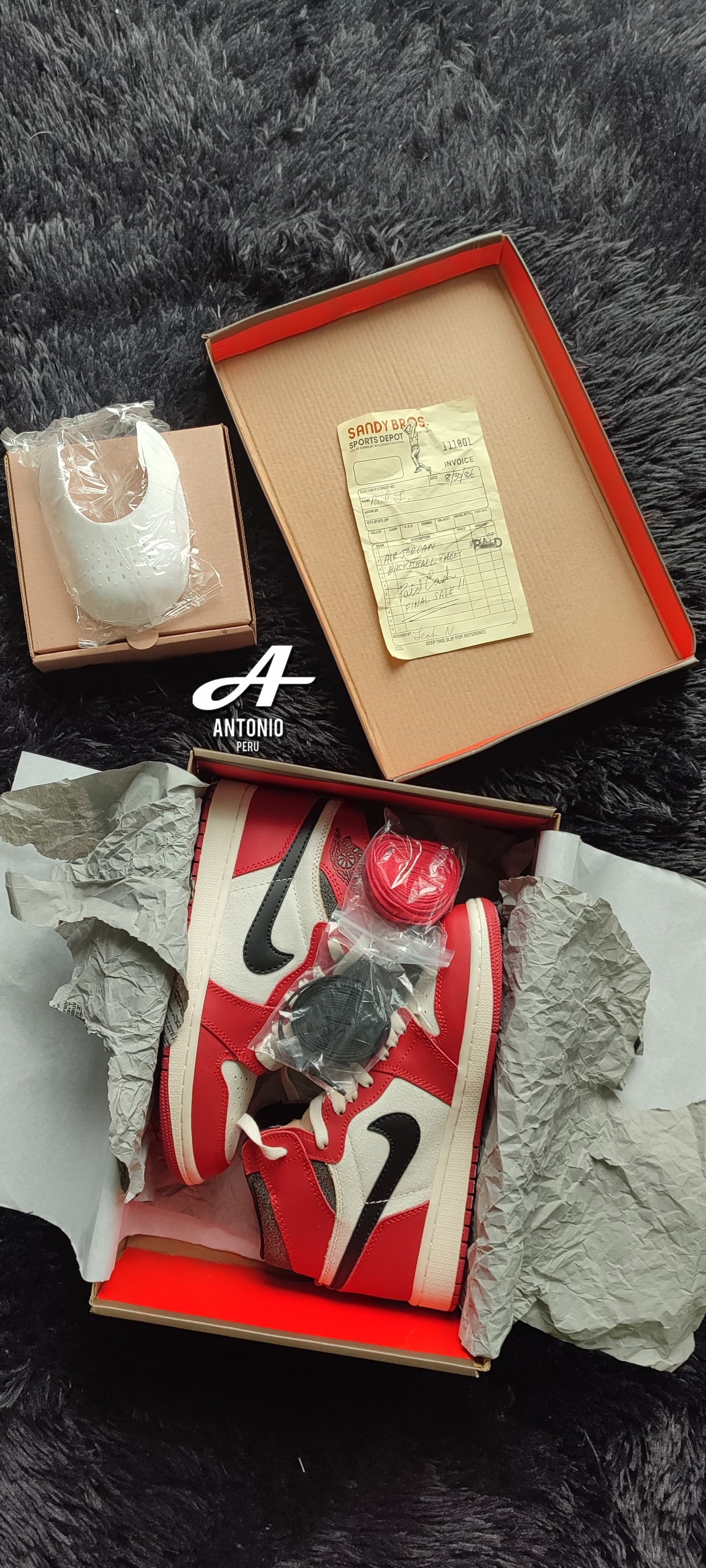 Air Jordan 1 "Lost and Found"