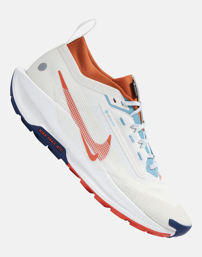 NIKE PEGASUS TRAIL 5 GORO-TEX