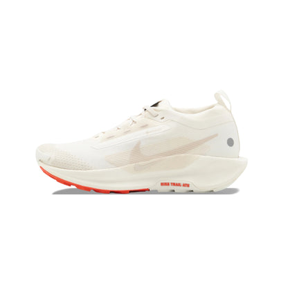 NIKE PEGASUS TRAIL 5 GORO-TEX