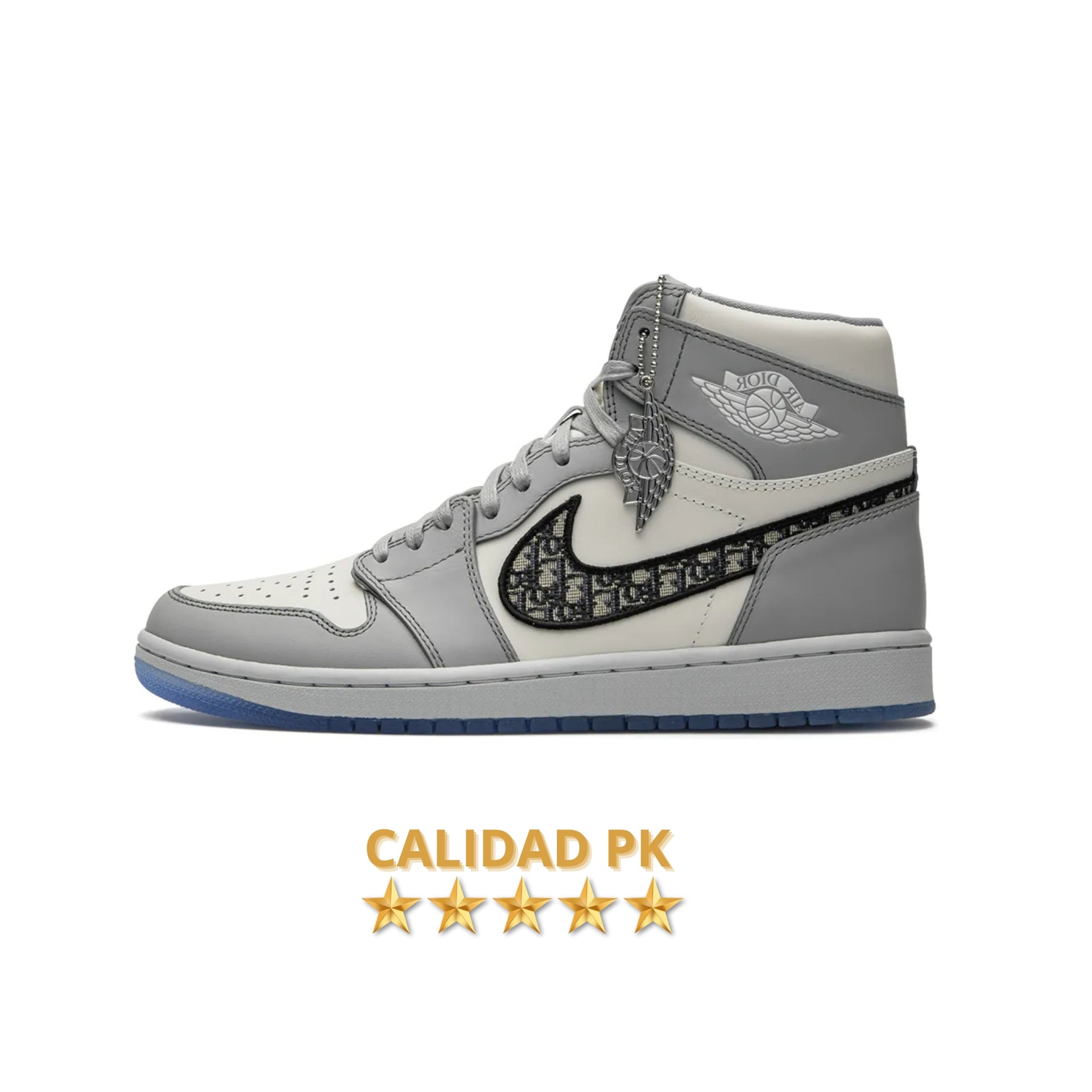 AIR JORDAN RETRO x DIOR