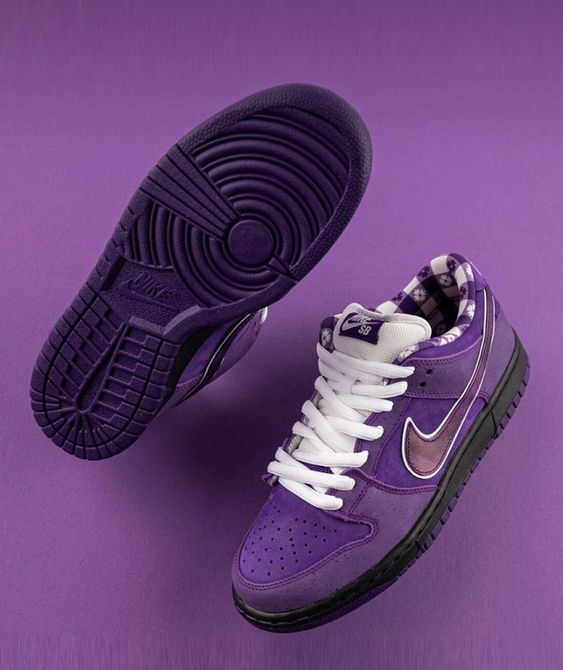 NIKE DUNK LOW CONCEPT "PURPPLE"