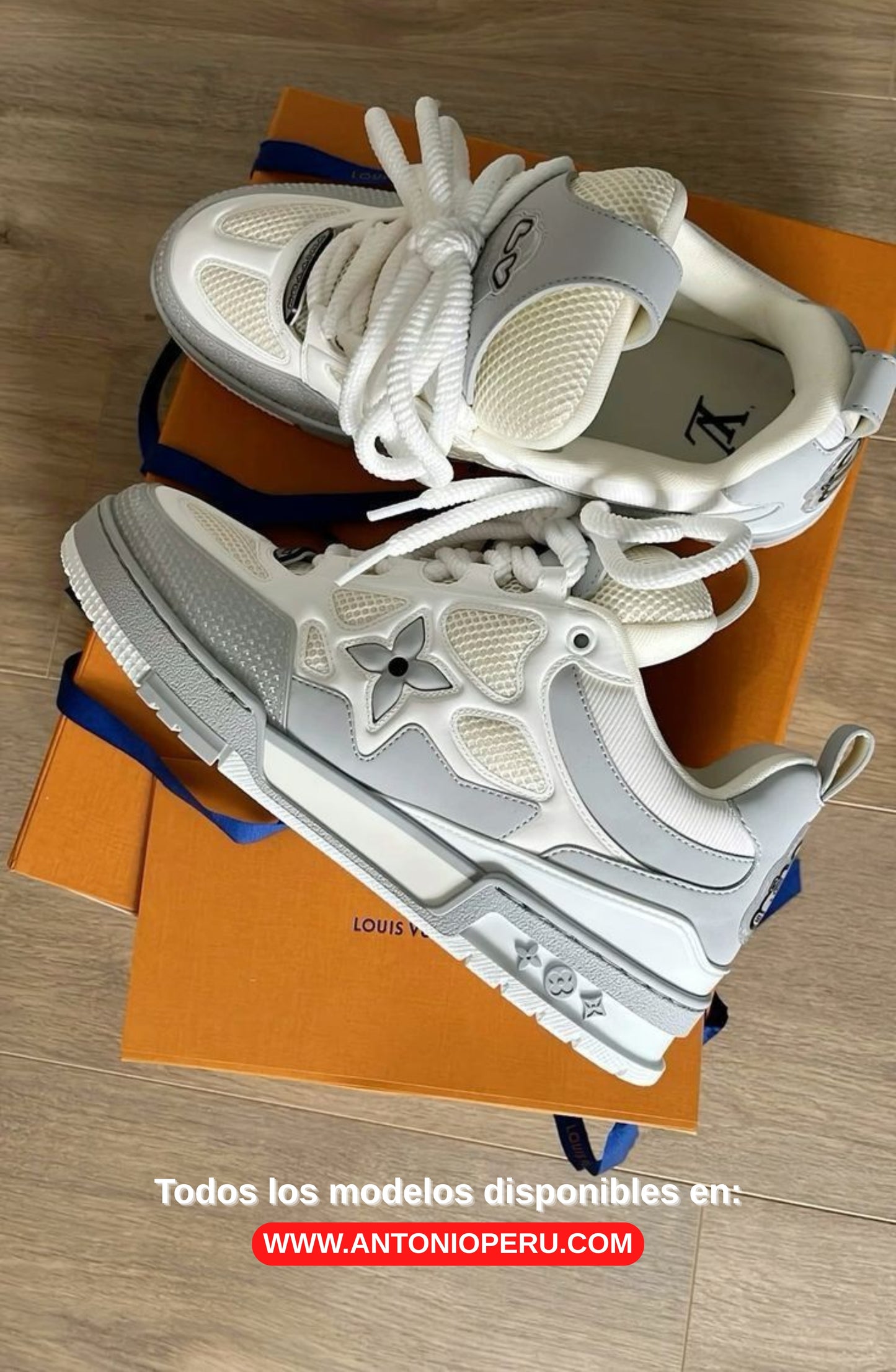 LOUIS VUITTON "SKATE"