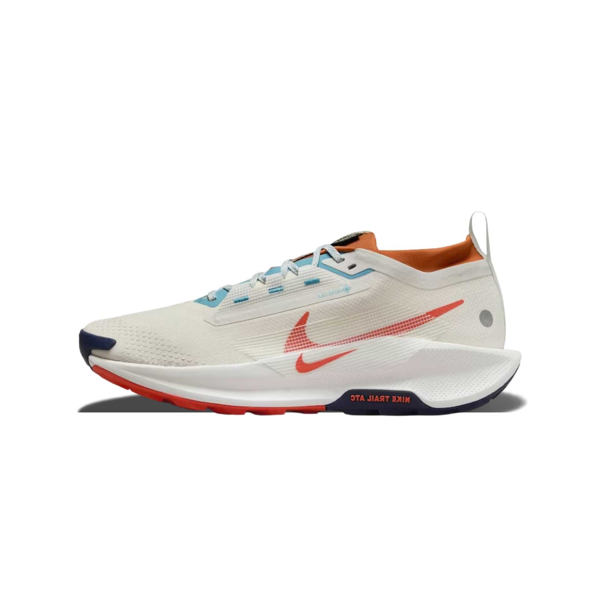 NIKE PEGASUS TRAIL GORO-TEX - Main Image