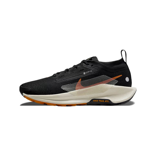 NIKE PEGASUS TRAIL 5 GORO-TEX