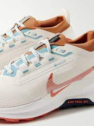 NIKE PEGASUS TRAIL 5 GORO-TEX